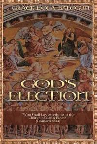 bokomslag God's Election