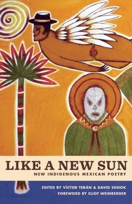 Víctor Terán, David Shook - Like A New Sun, Häftad