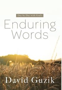 bokomslag Enduring Words