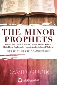 bokomslag Minor Prophets