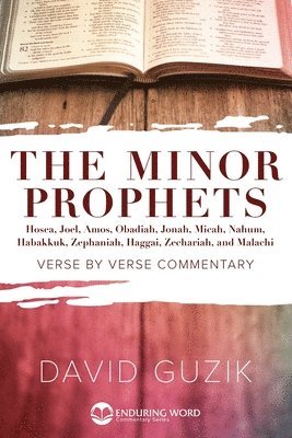 Minor Prophets 1