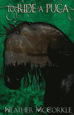bokomslag To Ride A Púca