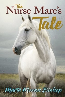 bokomslag The Nurse Mare's Tale