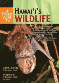 bokomslag A Pocket Guide to Hawaii's Wildlife