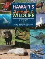 bokomslag Hawaiis Animals & Wildlife