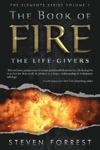 bokomslag The Book of Fire