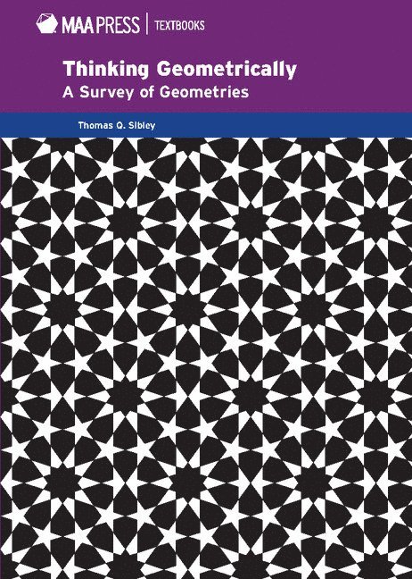 Thomas Q. Sibley, Thomas Q Sibley - Thinking Geometrically: A Survey of Geometries, Inbunden