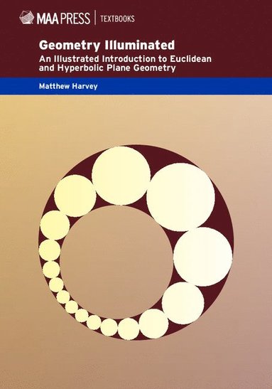 bokomslag Geometry Illuminated