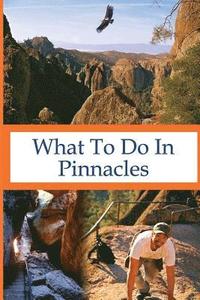 bokomslag What To Do In Pinnacles