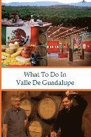 Richard Hauser - What To Do In Valle De Guadalupe, Häftad