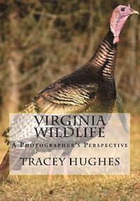 bokomslag Virginia Wildlife: A Photographer's Perspective