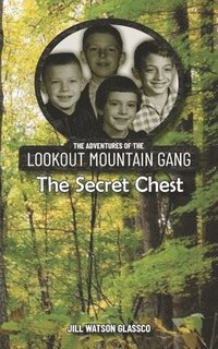 bokomslag The Adventures of the Lookout Mountain Gang: The Secret Chest