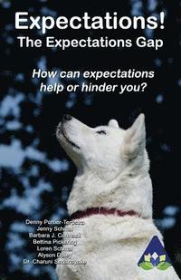 bokomslag Expectations: How can expectations help or hinder you?