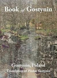 bokomslag Book of Gostynin, Poland