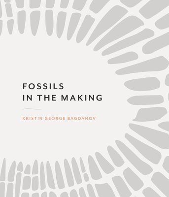 Fossils in the Making 1