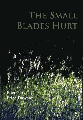 Erica Dawson - Small Blades Hurt, Inbunden