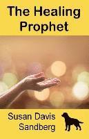 bokomslag The Healing Prophet
