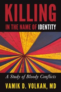 bokomslag Killing in the Name of Identity
