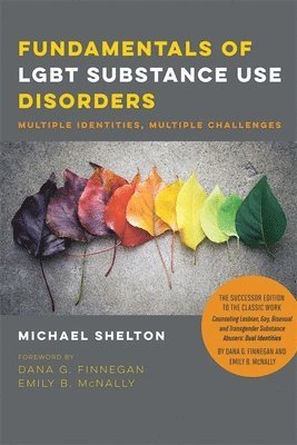 bokomslag Fundamentals of LGBT Substance Use Disorders - Multiple Identities, Multiple Challenges