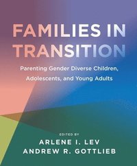 bokomslag Families in Transition  Parenting Gender Diverse Children, Adolescents, and Young Adults