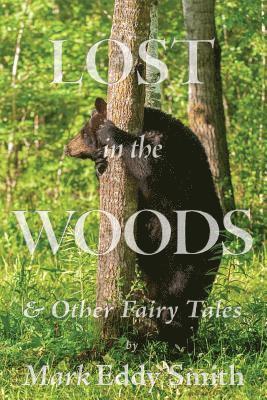 Lost in the Woods: & Other Fairy Tales 1