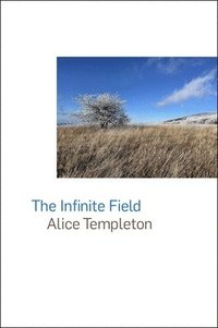 bokomslag The Infinite Field