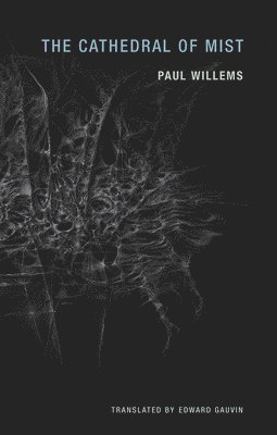 Paul Willems - Cathedral of Mist, Häftad