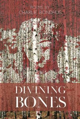 bokomslag Divining Bones