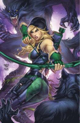 bokomslag Robyn Hood Volume 1