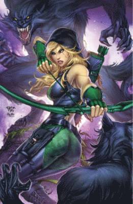 Patrick Shand - Robyn Hood Volume 1, Häftad