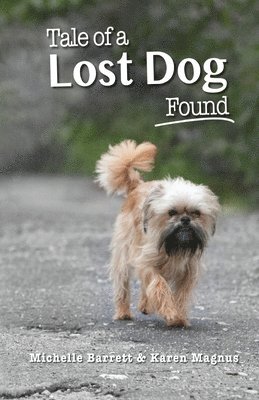 Tale of a Lost Dog Found 1