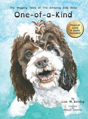 Lisa M Sondag - One-of-a-Kind, Inbunden