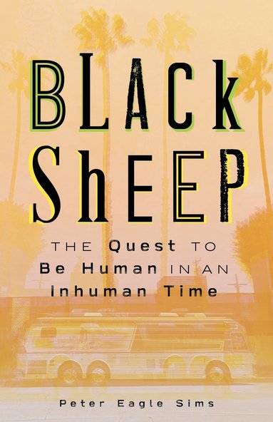 bokomslag Black Sheep