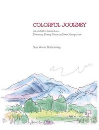 bokomslag Colorful Journey
