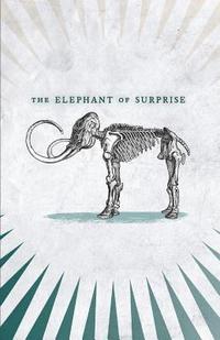 bokomslag The Elephant of Surprise