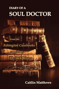 bokomslag Diary Of A Soul Doctor