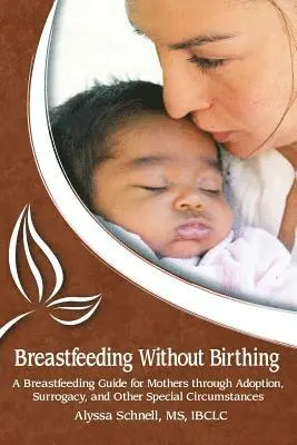 Alyssa Schnell - Breastfeeding Without Birthing: A Breastfeeding Guide for Mothers through Adoption, Surrogacy, and Other Special Circumstances, Häftad. Tillgänglighet: Lägg i varukorg