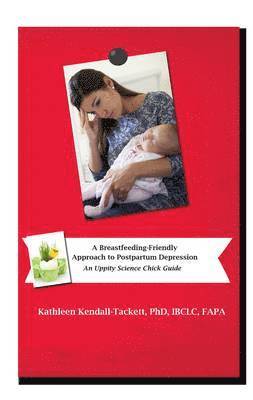 Kathleen Kendall-Tackett - Breastfeeding Friendly Approach to Postpartum Depression: A Resource Guide for Health Care Providers, Häftad