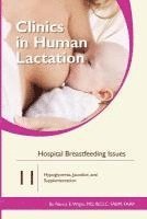 Nancy E. Wright - Clinics in Human Lactation 11: Hospital Breastfeeding Issues, Häftad