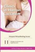 Clinics in Human Lactation 11: Hospital Breastfeeding Issues 1