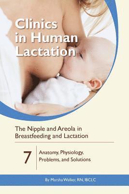 bokomslag The Nipple and Areola in Breastfeeding and Lactation: