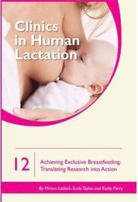 bokomslag Clinics in Human Lactation 12: Achieving Exclusive Breastfeeding