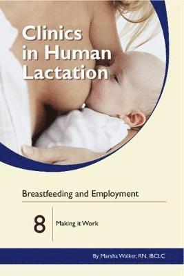 bokomslag Clinics in Human Lactation: v. 8: Breastfeeding and Employment: Making it Work