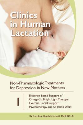 Kathleen Kendall-Tackett - Clinics in Human Lactation: v. 1, Häftad