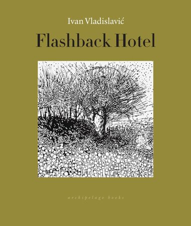 Ivan Vladislavic - Flashback Hotel, Häftad