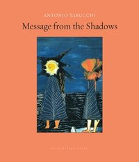 bokomslag Message from the Shadows