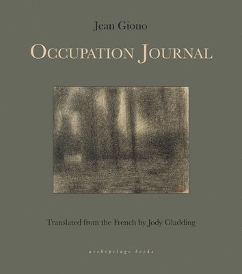 bokomslag Occupation Journal