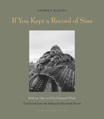 bokomslag If You Kept a Record of Sins