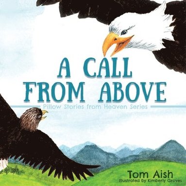 bokomslag Call from Above