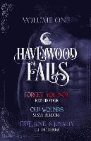 Susan Burdorf, E J Fechenda, Kristie Cook - Havenwood Falls Volume One, Häftad